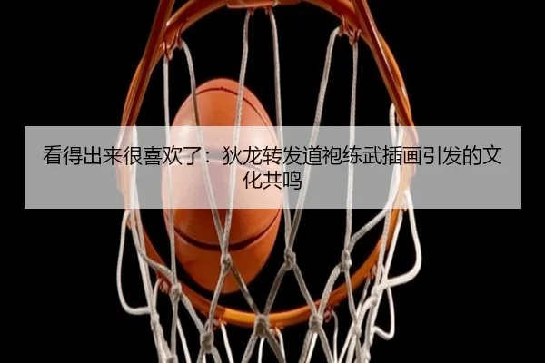 看得出来很喜欢了：狄龙转发道袍练武插画引发的文化共鸣